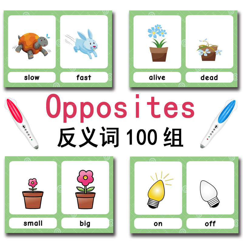 The 100 Groups Opposites Flash - Kids Toys Latest 评论和价格