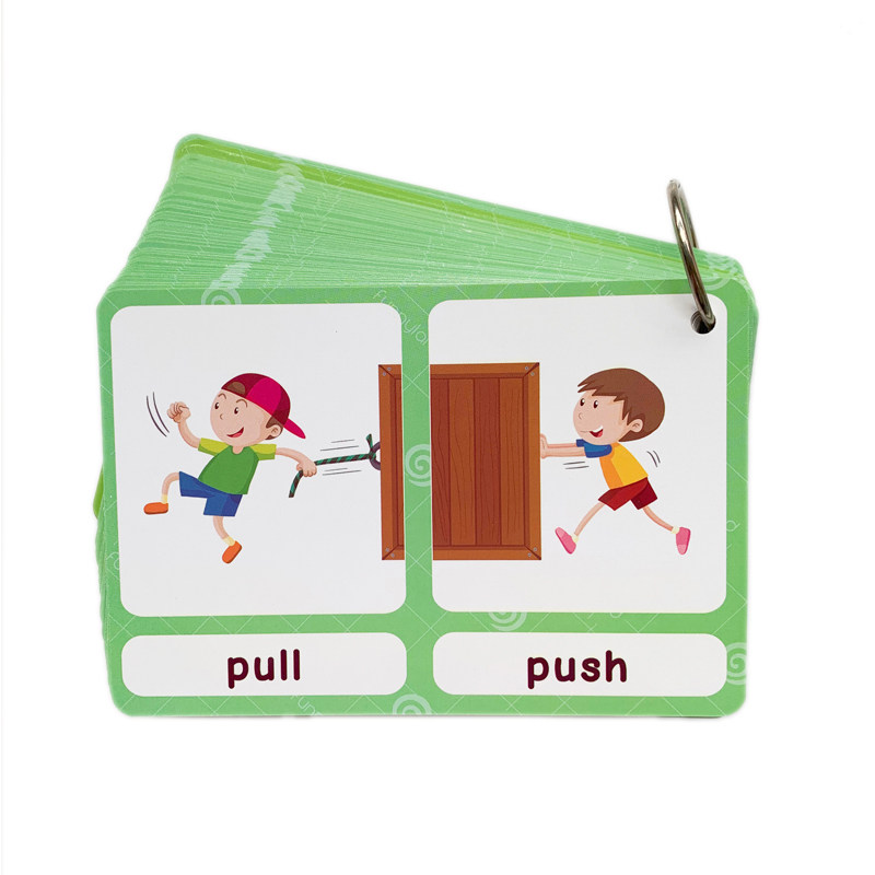 The 100 Groups Opposites Flash - Kids Toys Latest 评论和价格