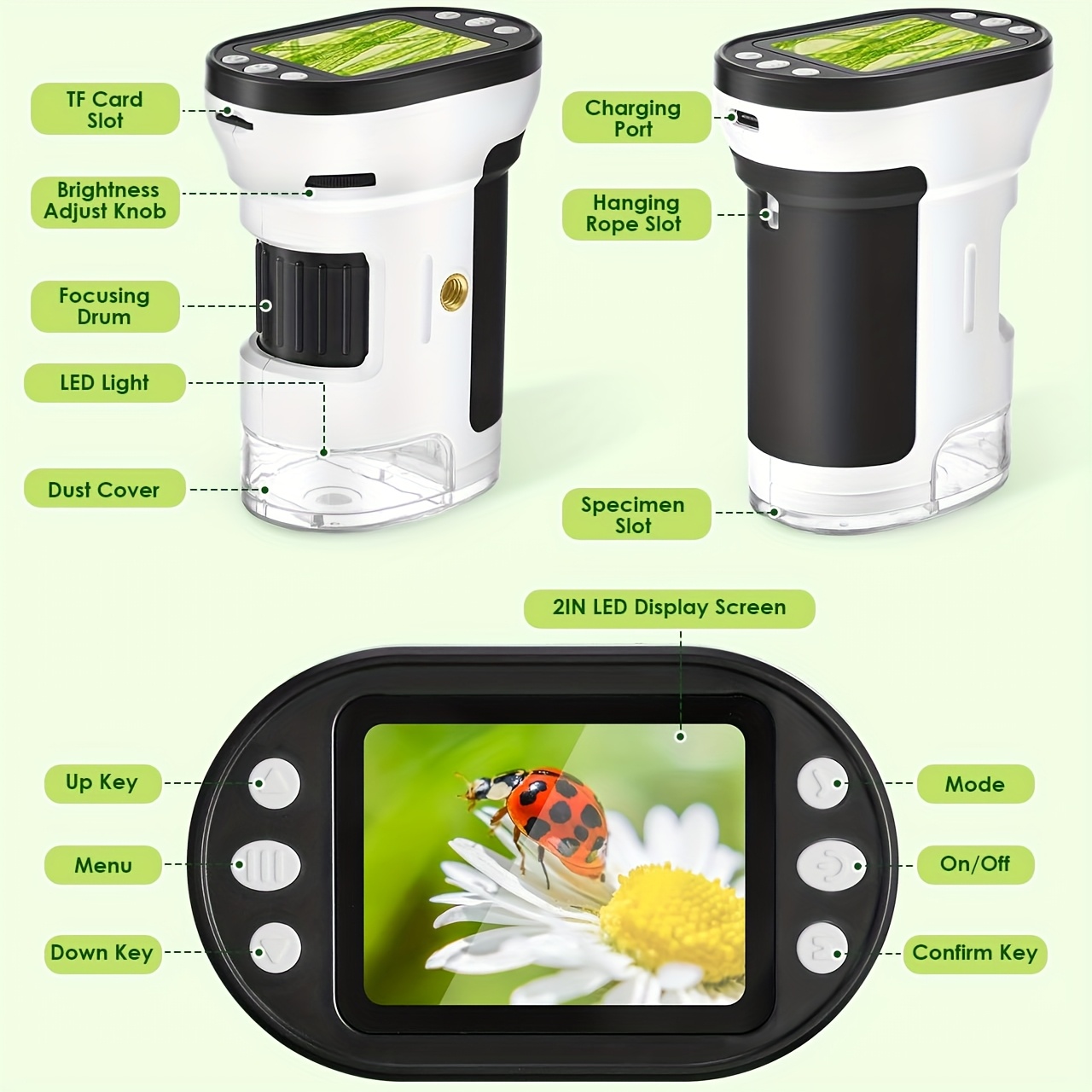 Kids Microscope Biological Kit - Kids Toys Horse 评论和价格